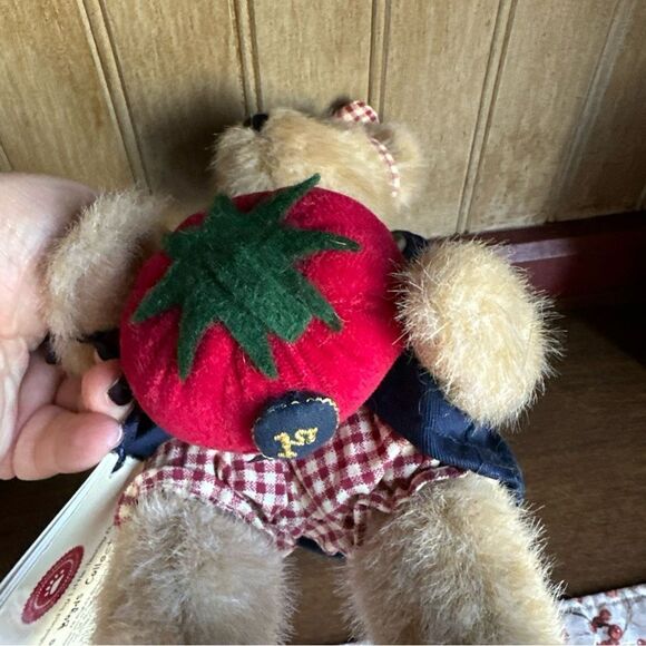 BOYDS PLUSH BEAR SERENDIPITY WISHKABIBBLE AND THE GIANT TOMATO 10" NWT - Picture 3 of 4